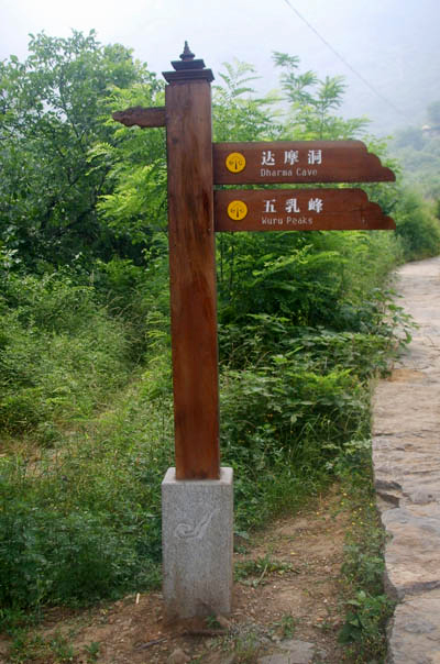 ��ʩ�ݘ��R����